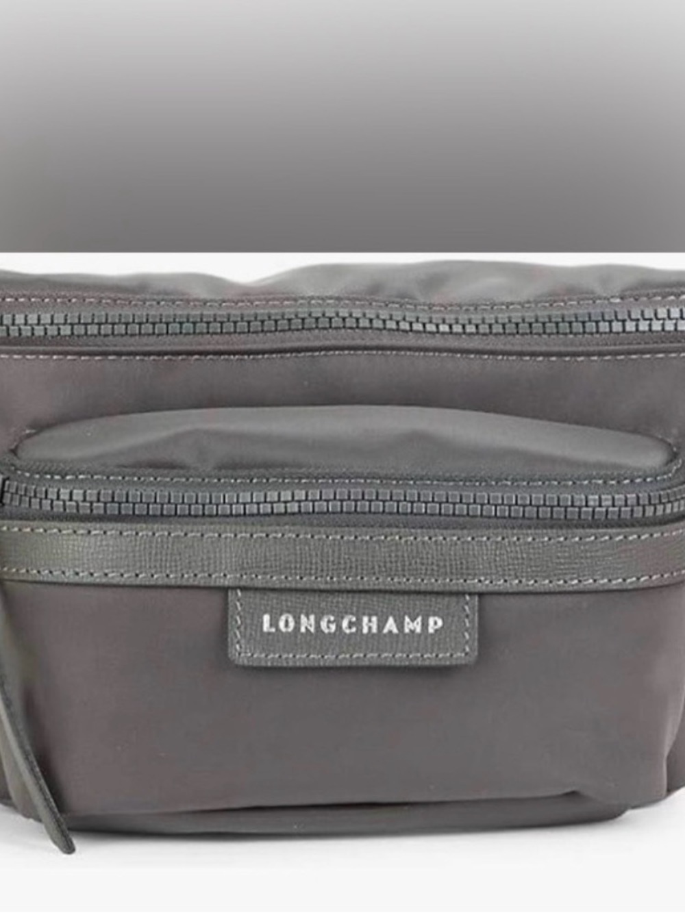 Long champ le pliage belt bag